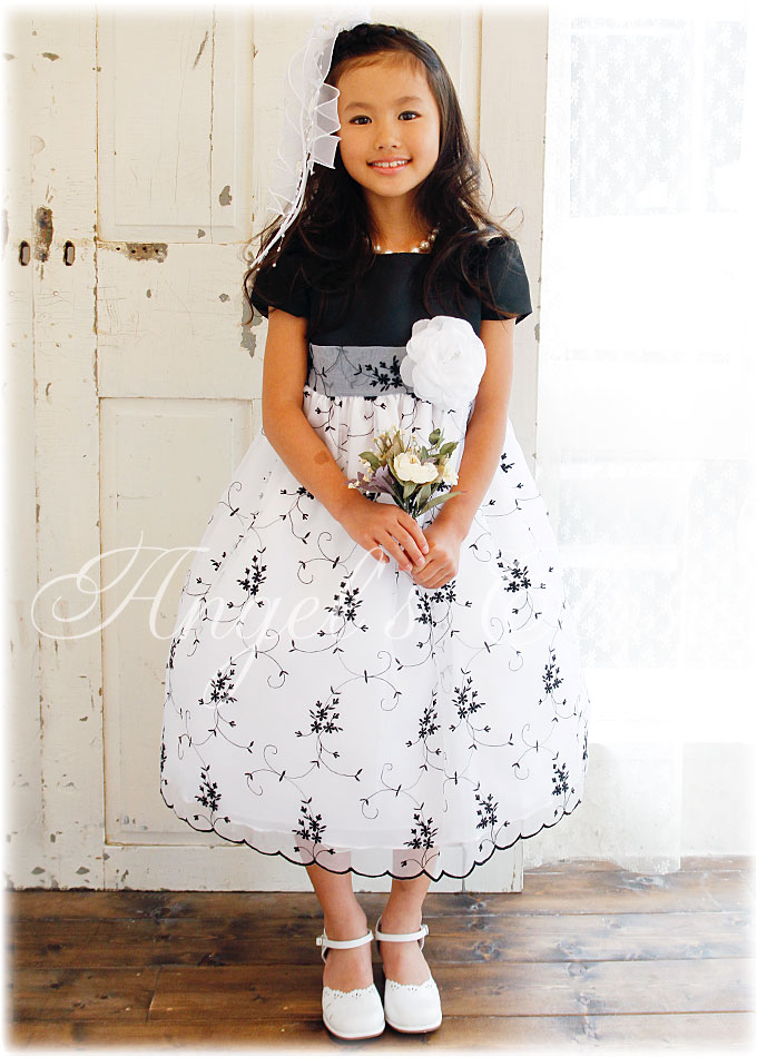Embroidery Dress